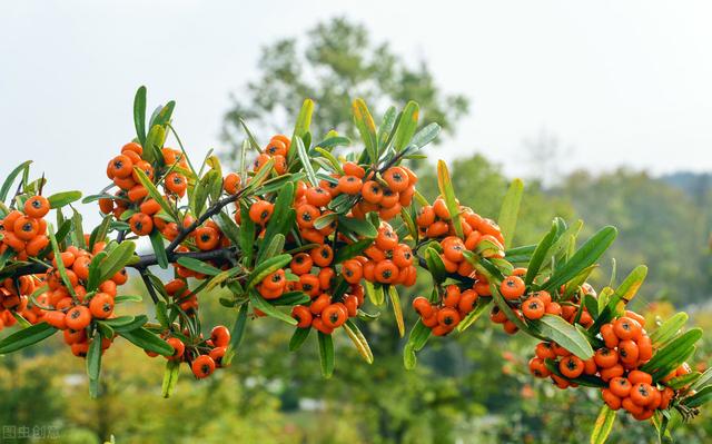 58�ֳ���ͥԺ����������������˶�����ۣ���������ˣ�