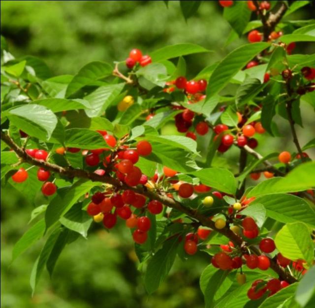 58�ֳ���ͥԺ����������������˶�����ۣ���������ˣ�