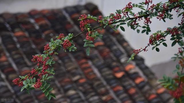 58�ֳ���ͥԺ����������������˶�����ۣ���������ˣ�