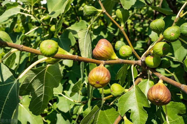 58�ֳ���ͥԺ����������������˶�����ۣ���������ˣ�