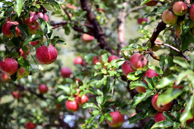 58�ֳ���ͥԺ����������������˶�����ۣ���������ˣ�