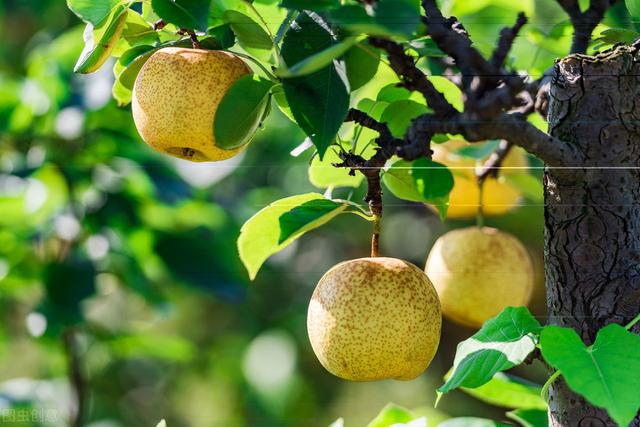 58�ֳ���ͥԺ����������������˶�����ۣ���������ˣ�