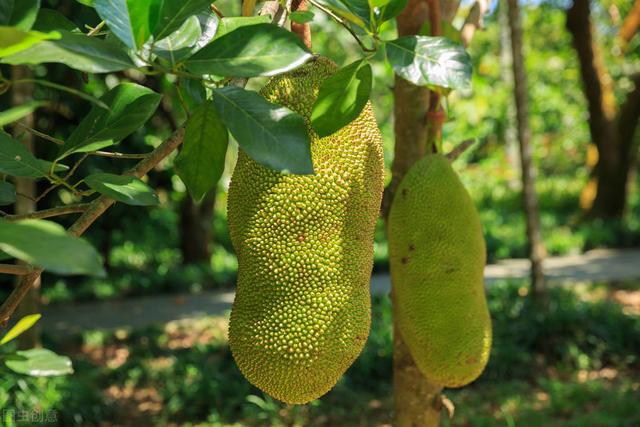 58�ֳ���ͥԺ����������������˶�����ۣ���������ˣ�