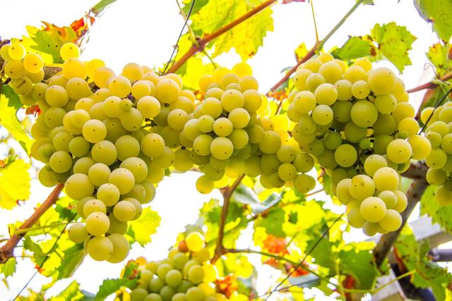 58�ֳ���ͥԺ����������������˶�����ۣ���������ˣ�