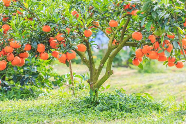 58�ֳ���ͥԺ����������������˶�����ۣ���������ˣ�