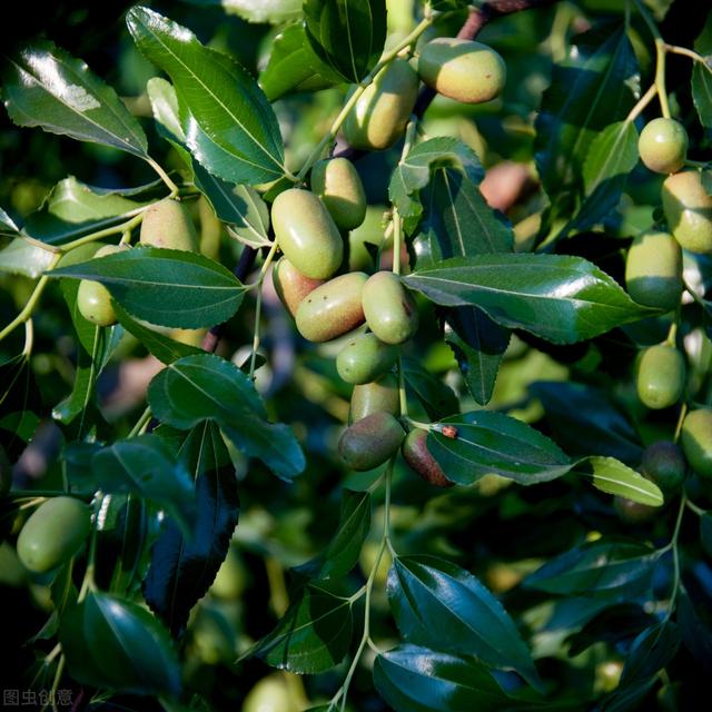 58�ֳ���ͥԺ����������������˶�����ۣ���������ˣ�