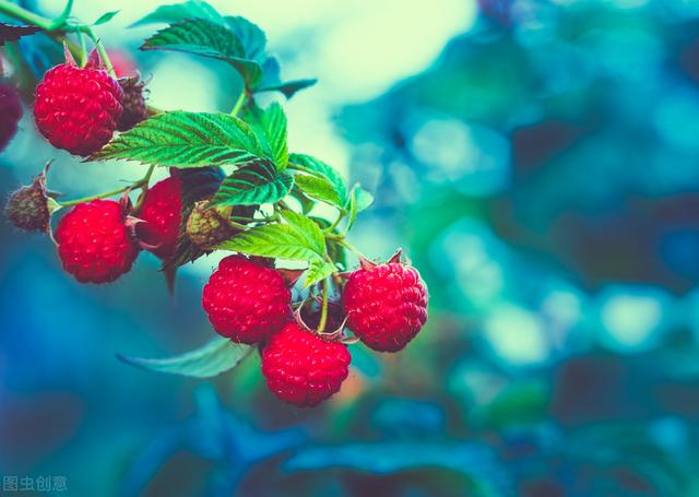 58�ֳ���ͥԺ����������������˶�����ۣ���������ˣ�