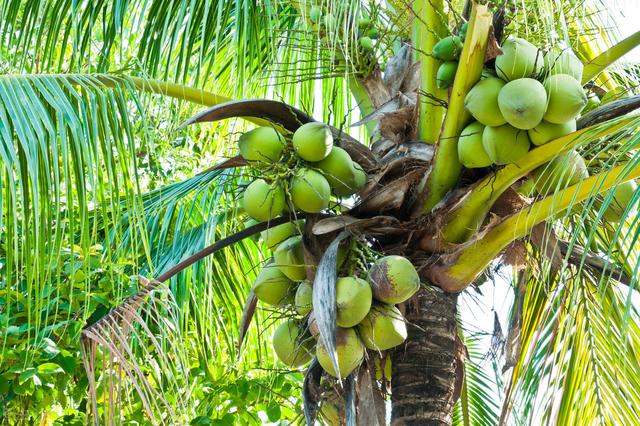 58�ֳ���ͥԺ����������������˶�����ۣ���������ˣ�