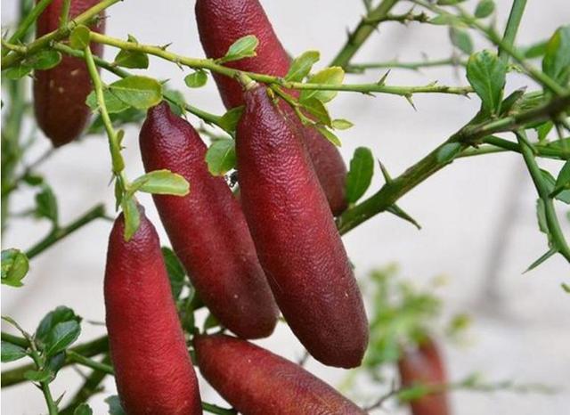 58�ֳ���ͥԺ����������������˶�����ۣ���������ˣ�