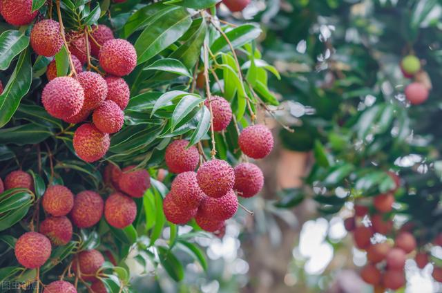 58�ֳ���ͥԺ����������������˶�����ۣ���������ˣ�