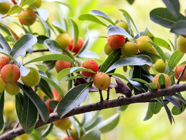 58�ֳ���ͥԺ����������������˶�����ۣ���������ˣ�