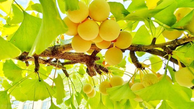 58�ֳ���ͥԺ����������������˶�����ۣ���������ˣ�