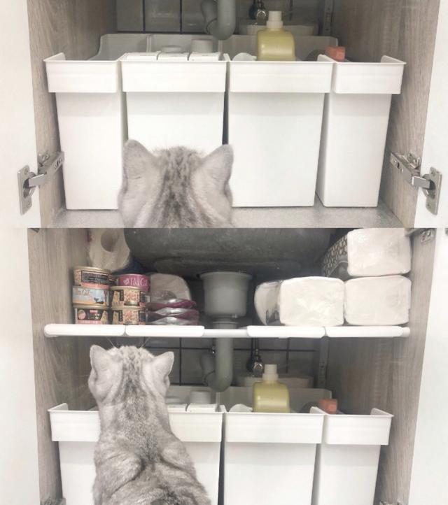 ����Щ�Ҿ�ϸ��С�������ü�����룬�����Ҹ�