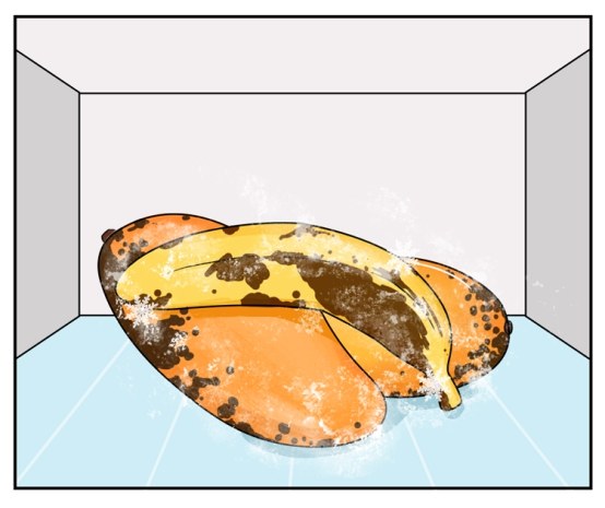 ���۲��ܷű��䣿�ⶳ���Ҫ�ӵ���һ�ű��ܽ���������