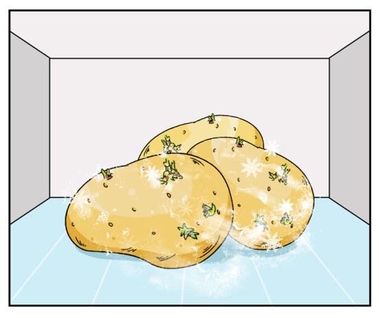 ���۲��ܷű��䣿�ⶳ���Ҫ�ӵ���һ�ű��ܽ���������