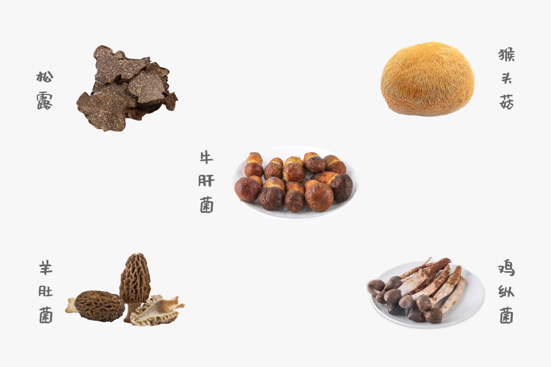 ������ʳ���е��ŵ���