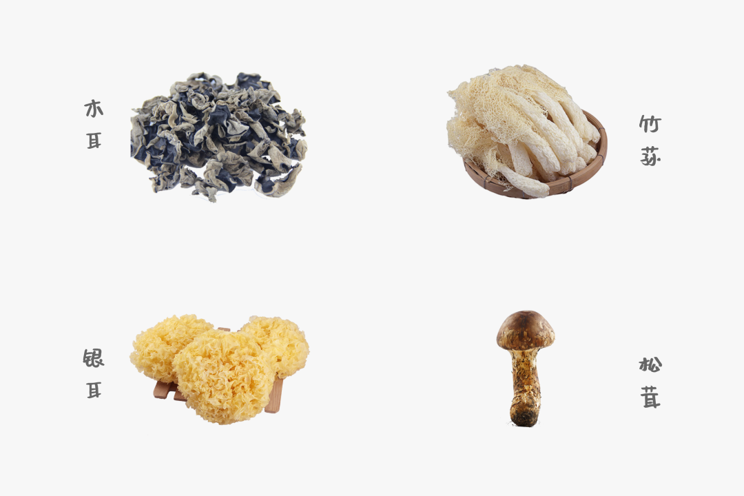 ������ʳ���е��ŵ���