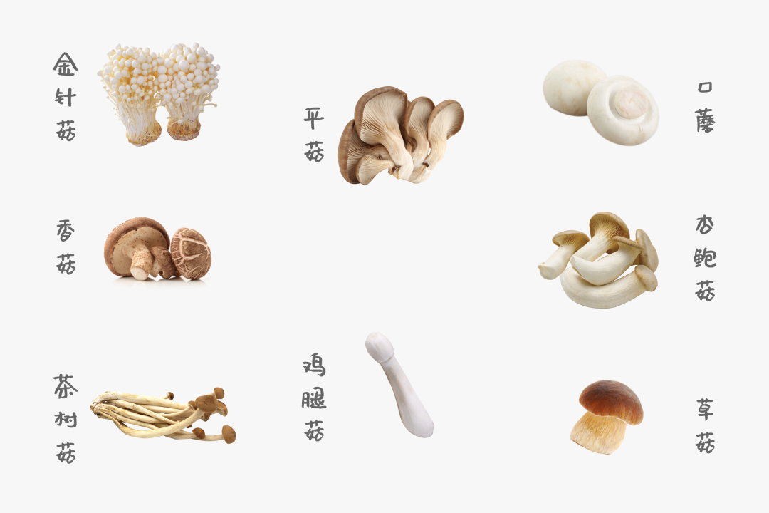 ������ʳ���е��ŵ���