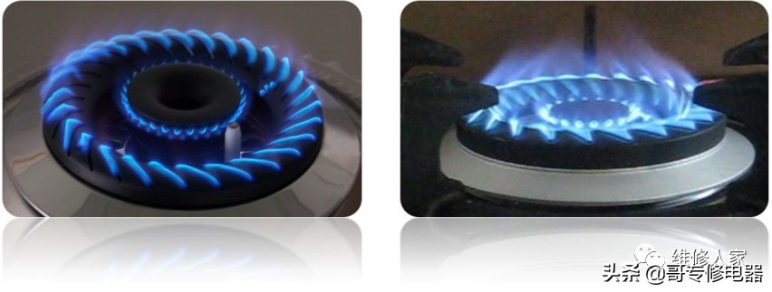 ȼ����֪ʶ��ѵ