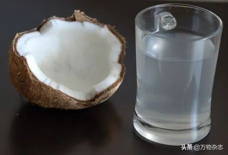 ��Ե�Ҭ����Ϊʲô�Ҳ���Ҭ֭��Ҭ����