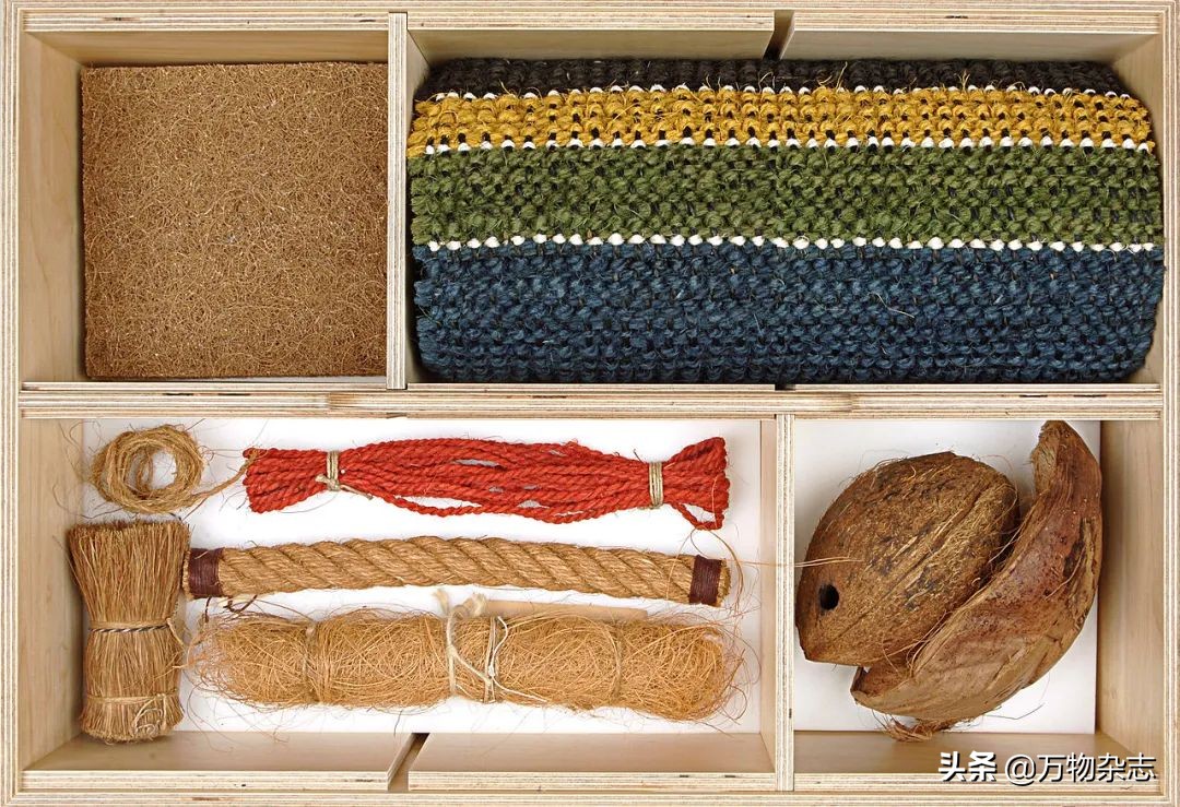 ��Ե�Ҭ����Ϊʲô�Ҳ���Ҭ֭��Ҭ����