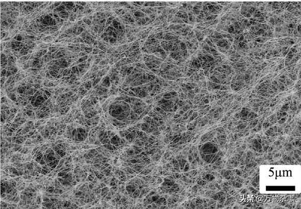 ��Ե�Ҭ����Ϊʲô�Ҳ���Ҭ֭��Ҭ����