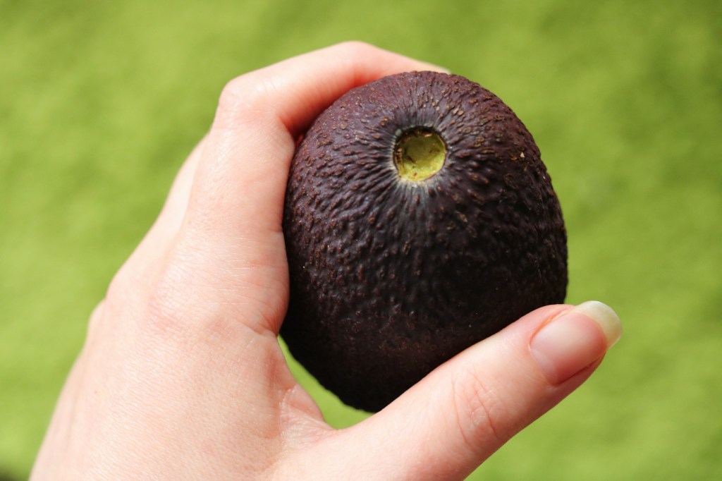 ����С��һ��Ҫ֪���ĳ������ɣ���Щ��������ʡʱ��ʡ��