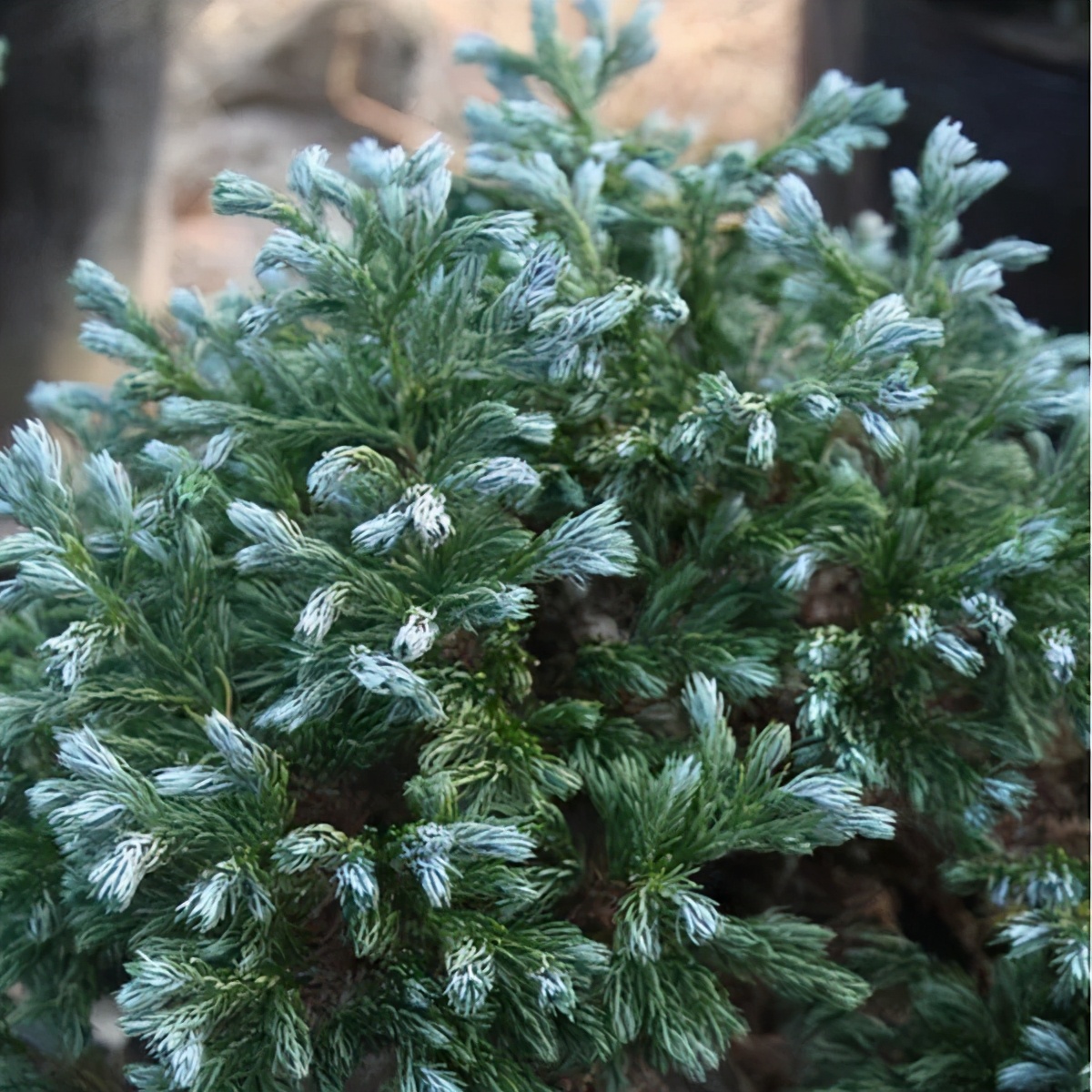 �ɻ����� | ������ά���Ϸ�̫��ʱ�䣿�������������˻�԰��