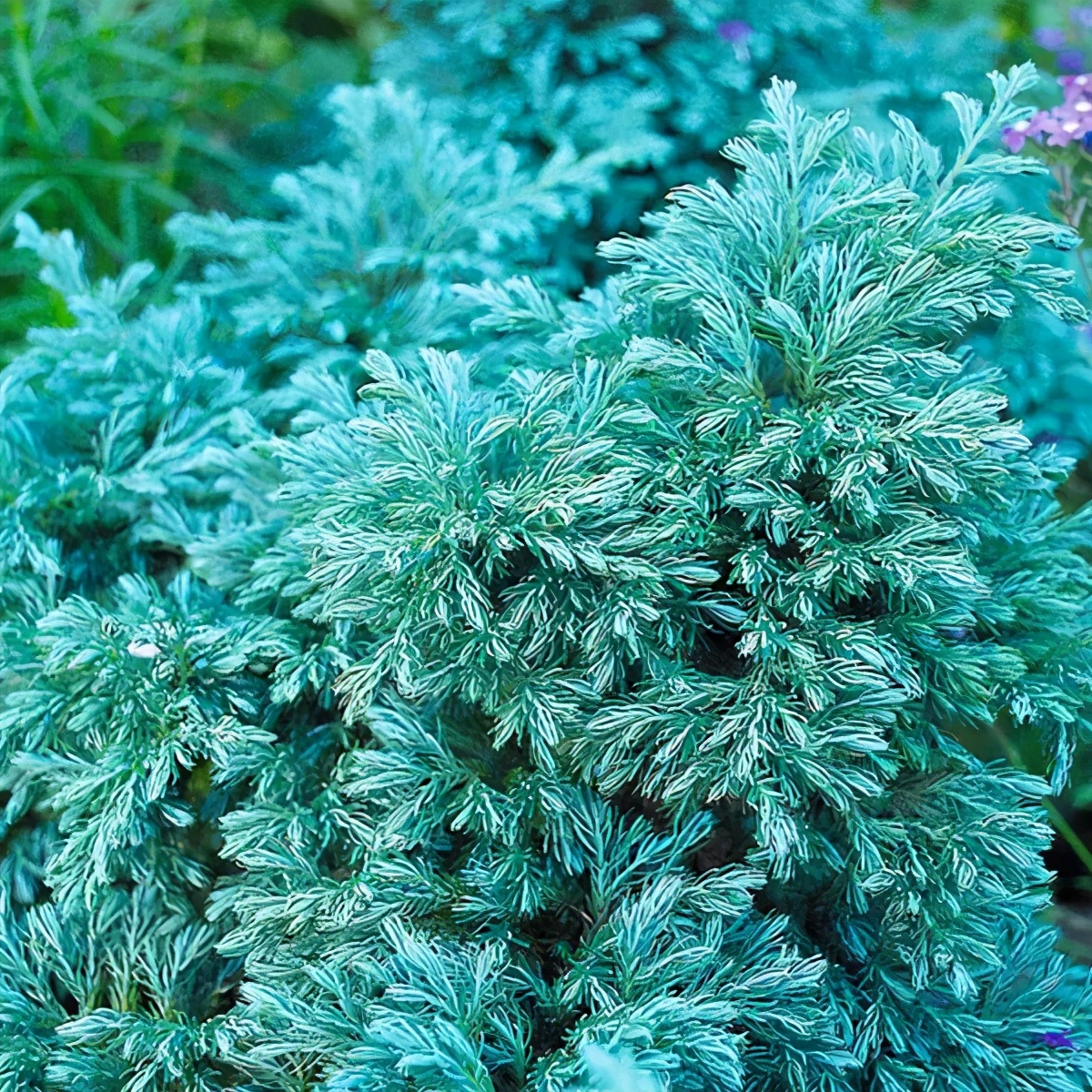 �ɻ����� | ������ά���Ϸ�̫��ʱ�䣿�������������˻�԰��