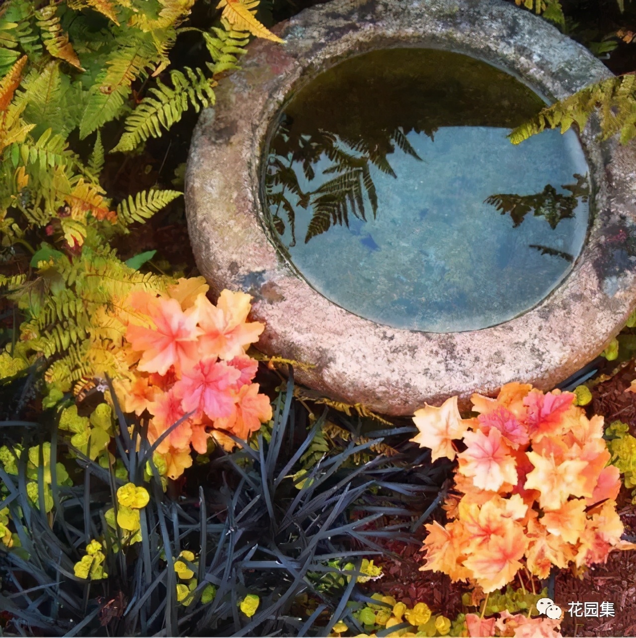 �ɻ����� | ������ά���Ϸ�̫��ʱ�䣿�������������˻�԰��