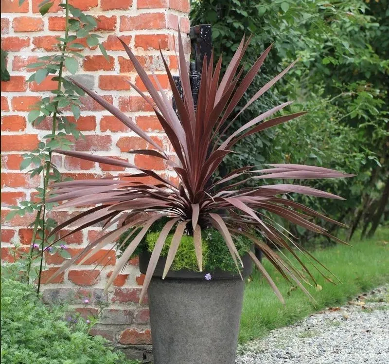 �ɻ����� | ������ά���Ϸ�̫��ʱ�䣿�������������˻�԰��