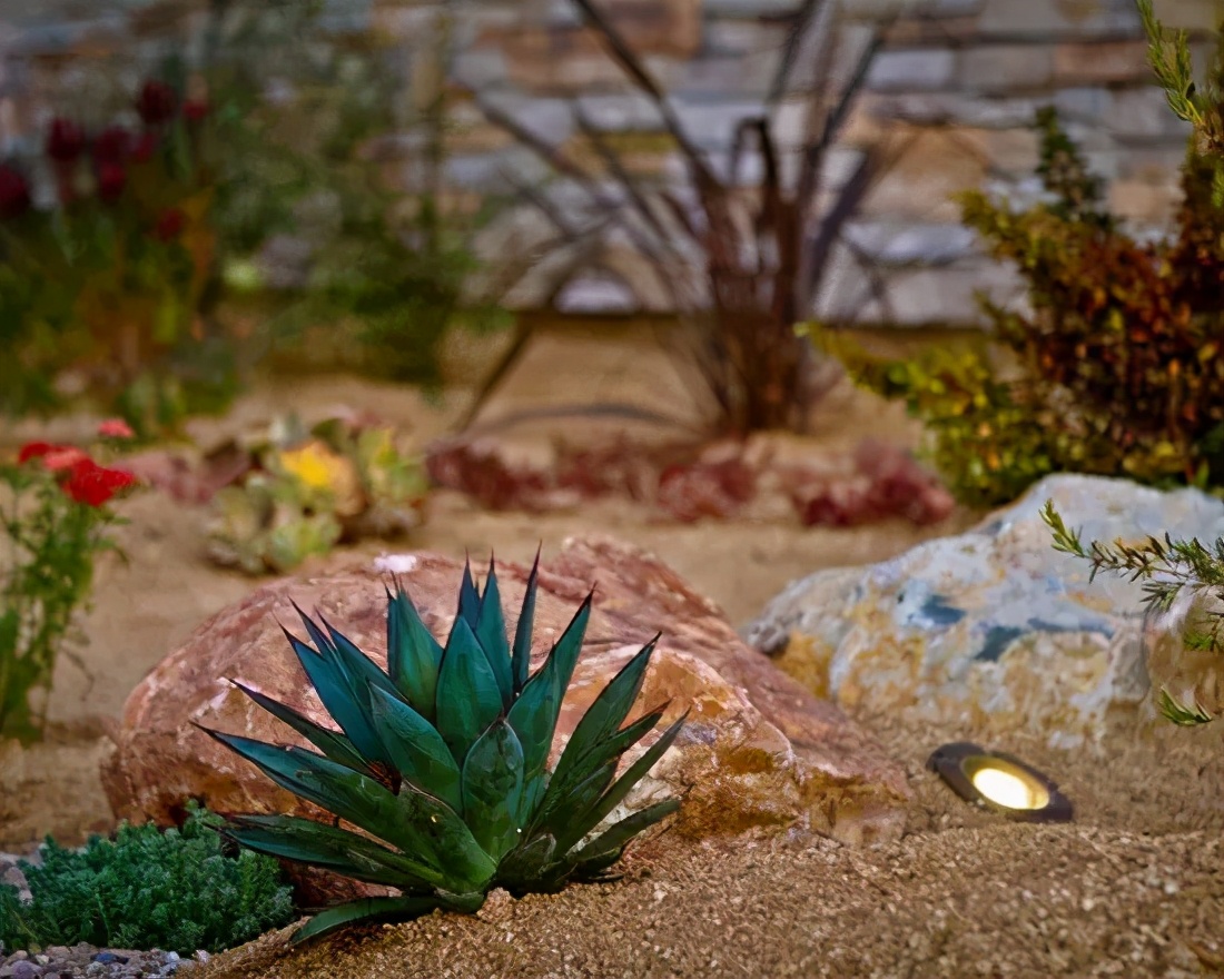 �ɻ����� | ������ά���Ϸ�̫��ʱ�䣿�������������˻�԰��