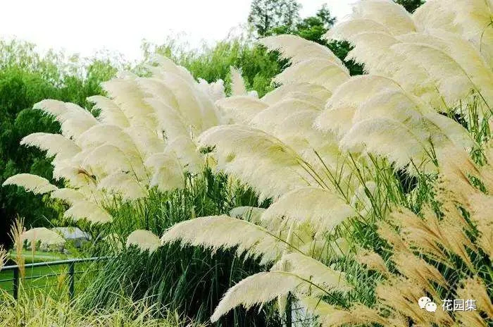 �ɻ����� | ������ά���Ϸ�̫��ʱ�䣿�������������˻�԰��