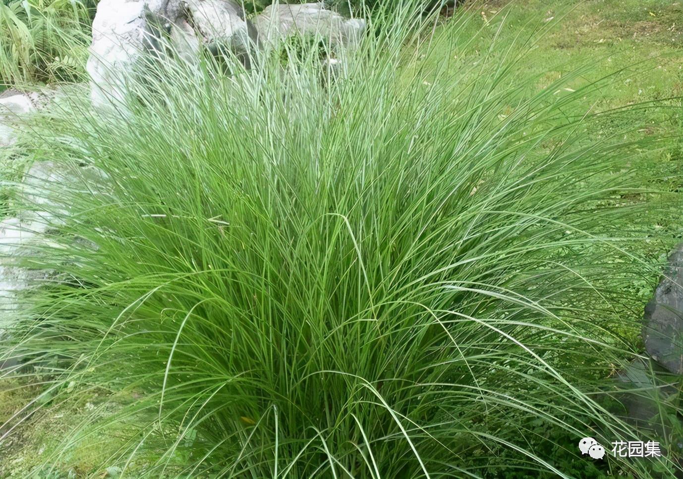 �ɻ����� | ������ά���Ϸ�̫��ʱ�䣿�������������˻�԰��