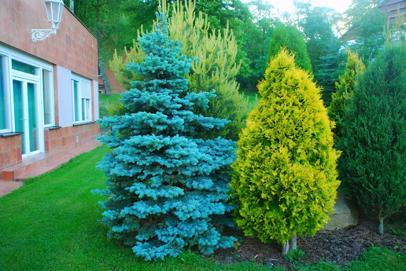 �ɻ����� | ������ά���Ϸ�̫��ʱ�䣿�������������˻�԰��