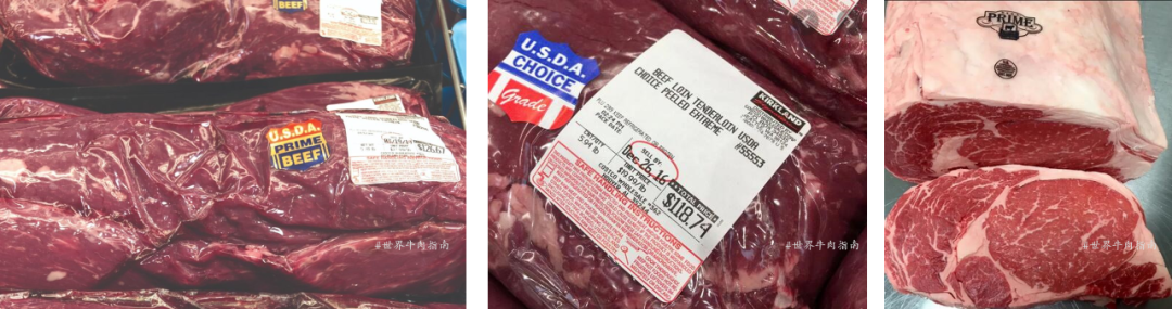 你会看牛排等级吗?一份短小精悍的各国牛肉分级攻略