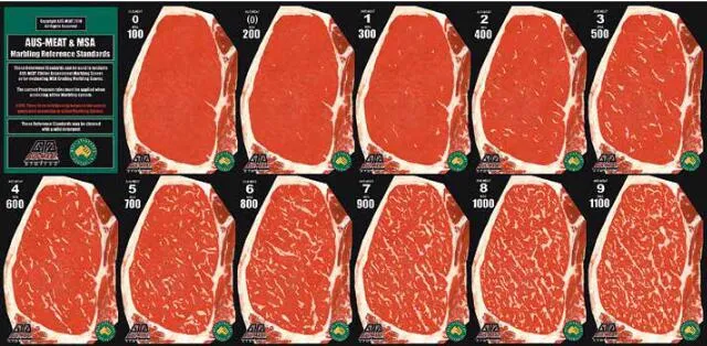 你会看牛排等级吗?一份短小精悍的各国牛肉分级攻略