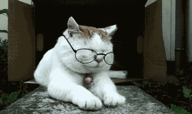 ��ʿ�۾���ôѡ�ź��ģ�