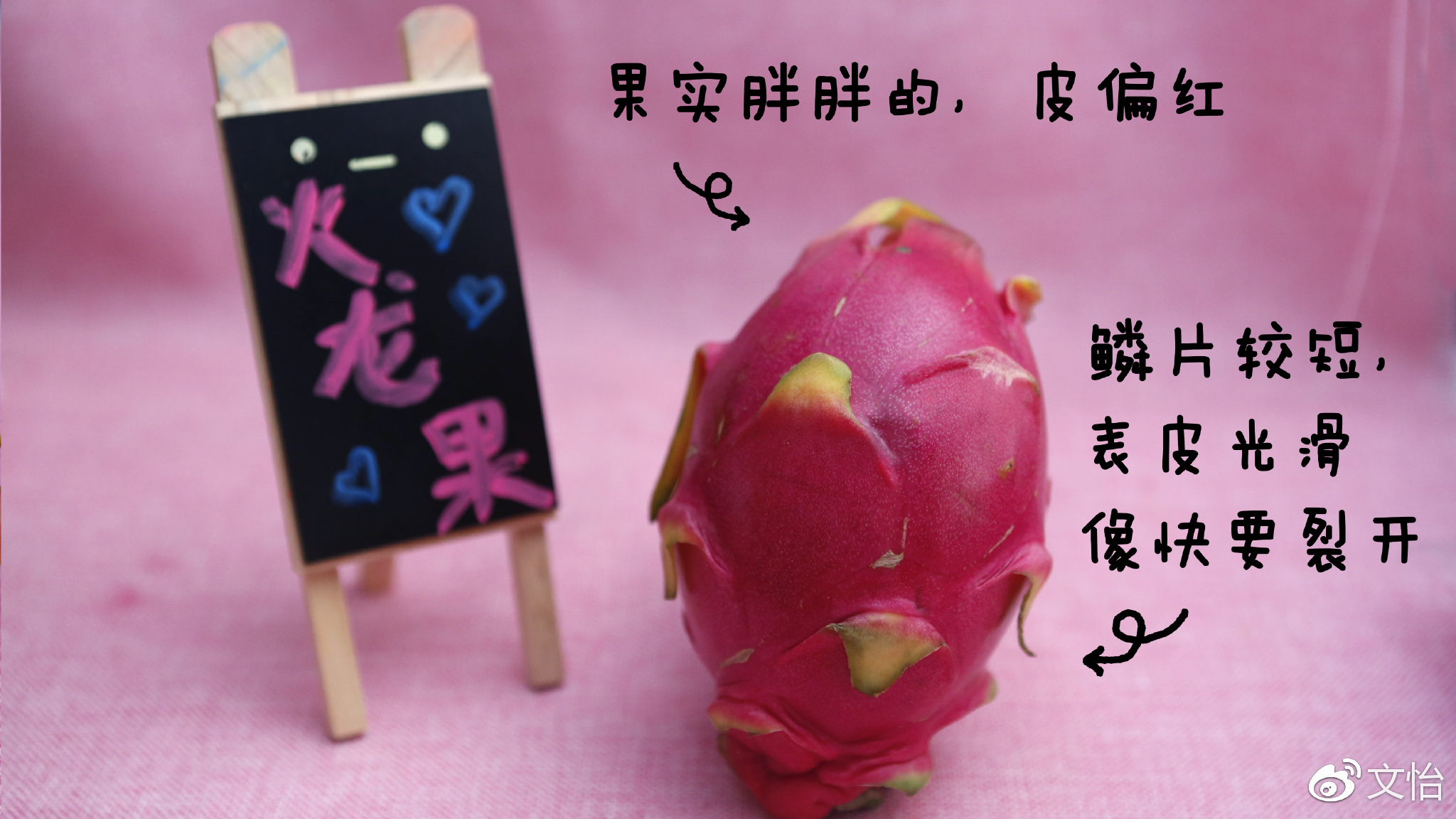 �ó�ˮ�����ѡ��