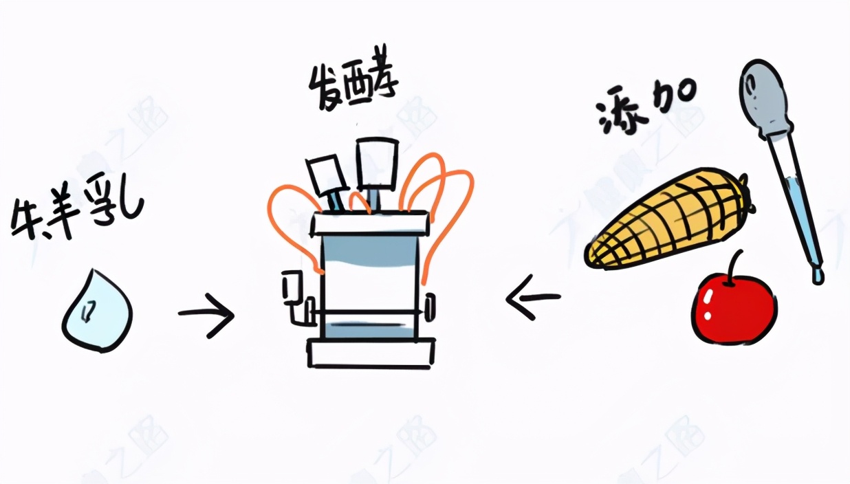 ������ġ��ٺ��ǡ��������⡱���������̡���1����ѧ����