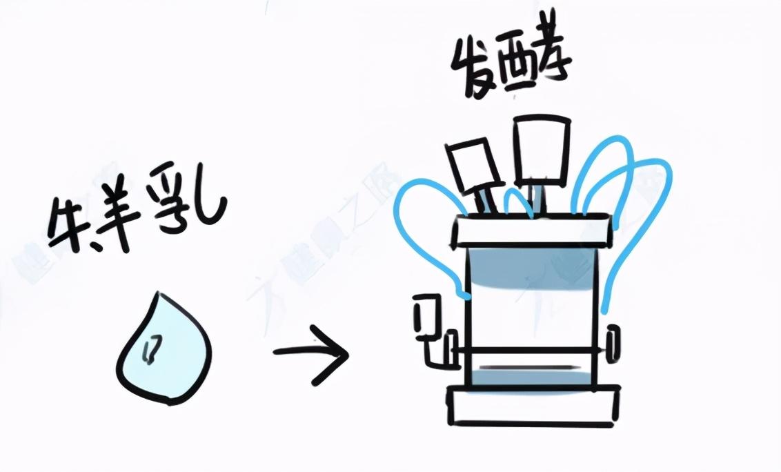 ������ġ��ٺ��ǡ��������⡱���������̡���1����ѧ����