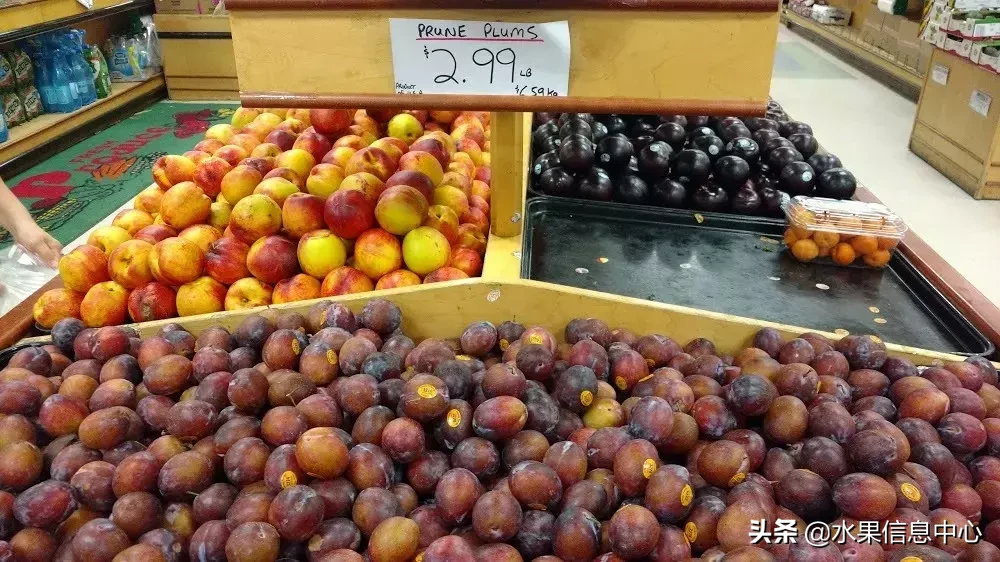 ��ȫˮ���ĸйټ��𣬴������������Ҫ��