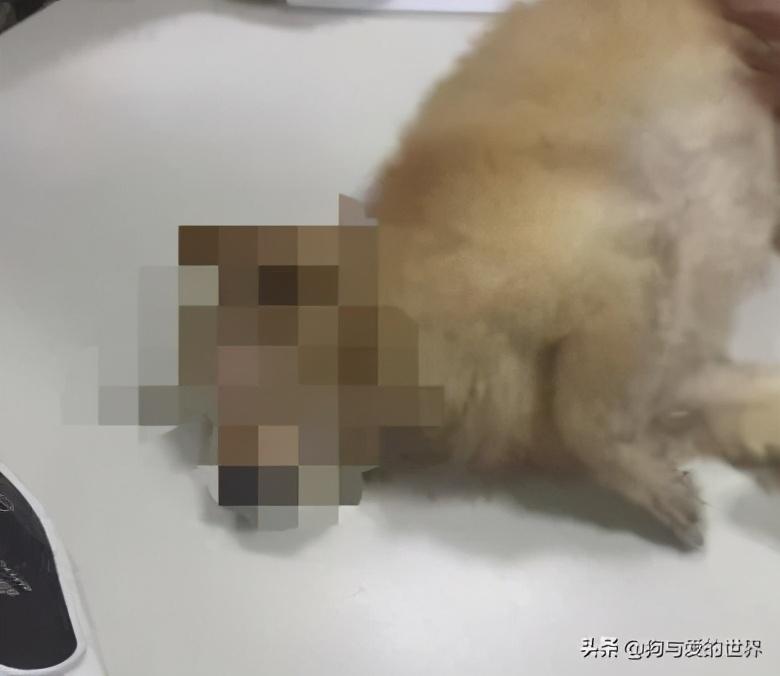 ����ҧס���ɿڣ���ס��Щ�����ܱ�������