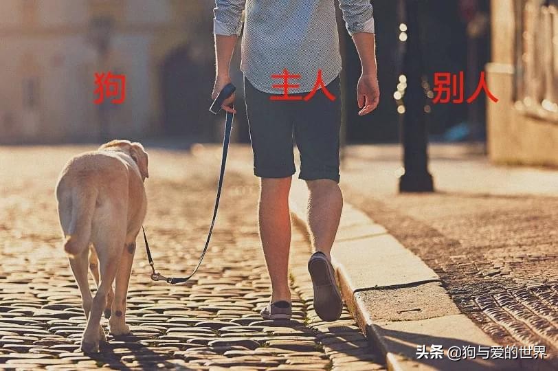 ����ҧס���ɿڣ���ס��Щ�����ܱ�������