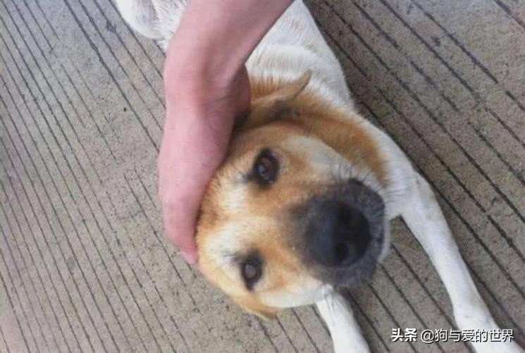 ����ҧס���ɿڣ���ס��Щ�����ܱ�������