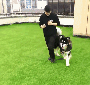 ����ҧס���ɿڣ���ס��Щ�����ܱ�������