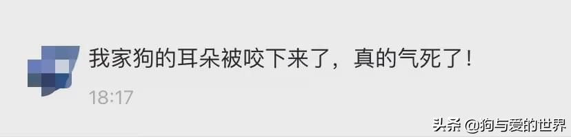 ����ҧס���ɿڣ���ס��Щ�����ܱ�������