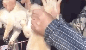 ����ҧס���ɿڣ���ס��Щ�����ܱ�������