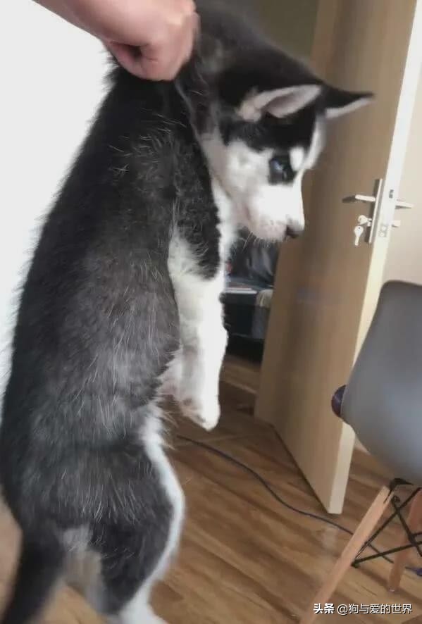 ����ҧס���ɿڣ���ס��Щ�����ܱ�������