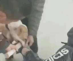 ����ҧס���ɿڣ���ס��Щ�����ܱ�������